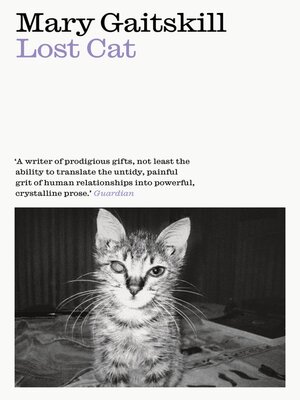 cover image of Lost Cat